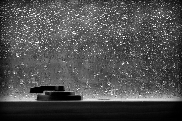 Rainy Window Pane by Michigan Fine Art Photography Laura Adams