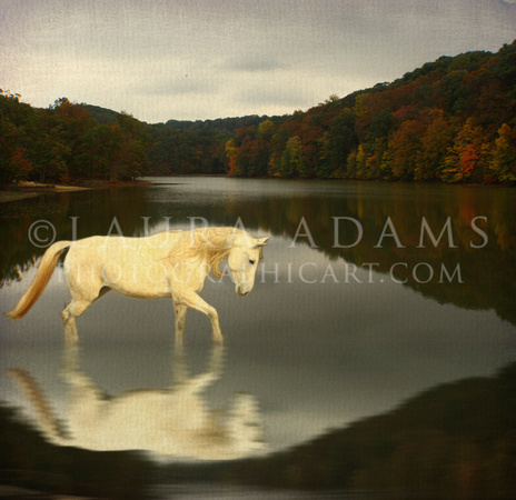 The Lady of the Lake by Michigan Artist and Photographer Laura Adams